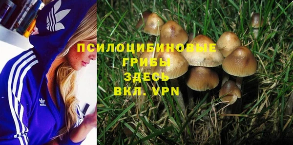 бошки Осташков