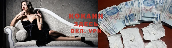 бошки Осташков