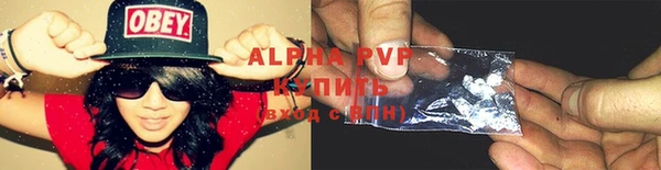 apvp Няндома