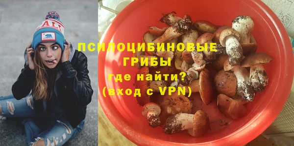 а пвп мука Осинники