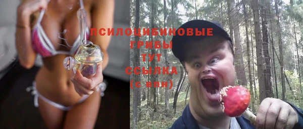 бошки Осташков