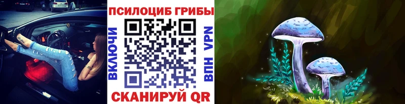 Галлюциногенные грибы мицелий  Лукоянов 