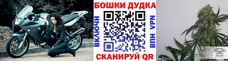 как найти наркотики  Лукоянов  МАРИХУАНА MAZAR 